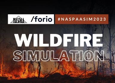 NASPAA's website image representing the wildfire simulation