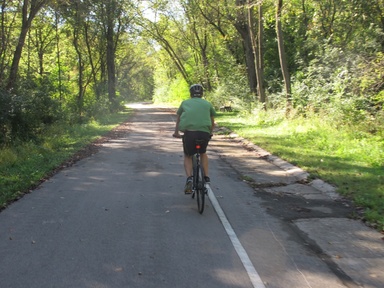 Person biking in a wooded area.