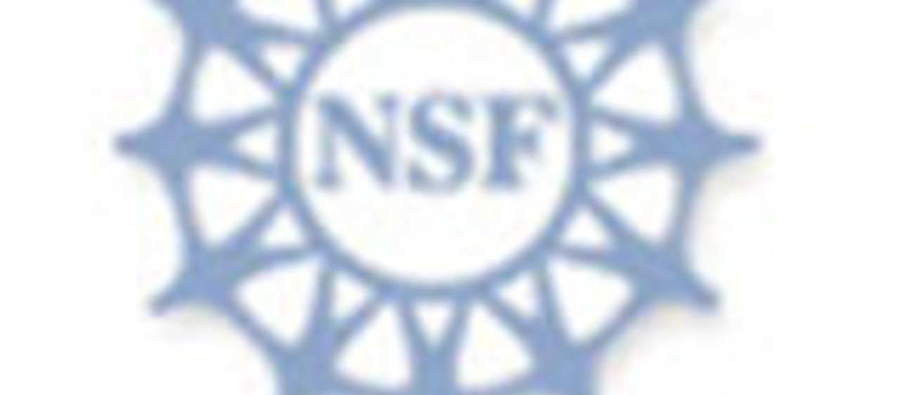 NSF Grant Awarded to Study New Measurement of Taxes on Growth