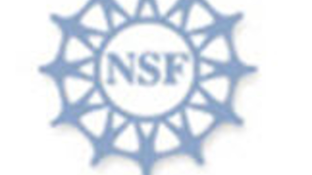 NSF Grant Awarded to Study New Measurement of Taxes on Growth