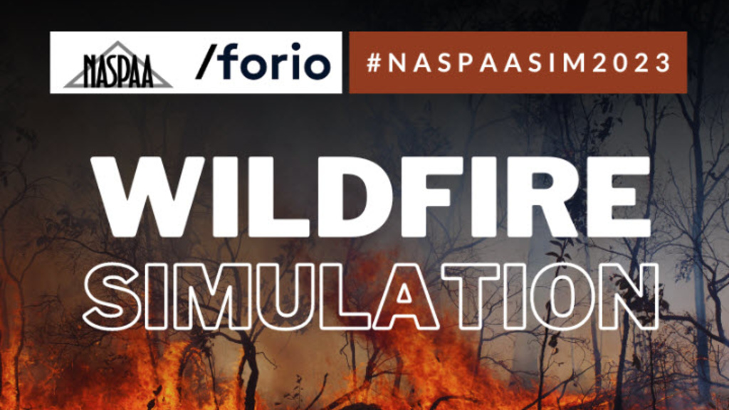 NASPAA's website image representing the wildfire simulation